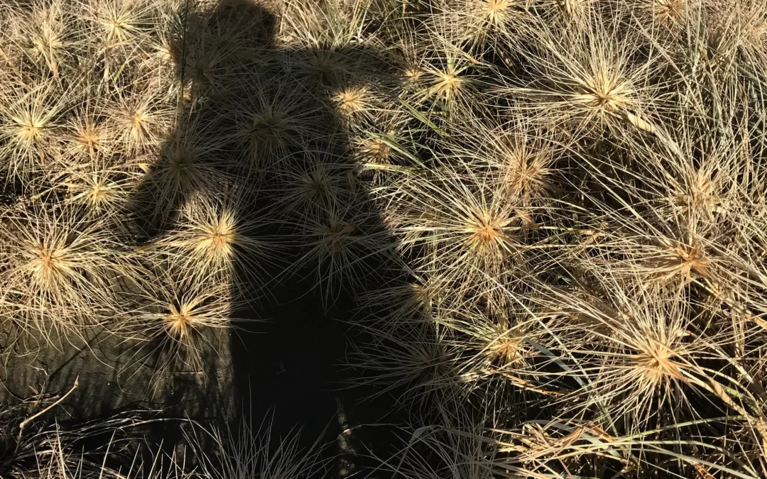 8 Practical Tips for Cultivating Self-Love and Embracing Singlehood